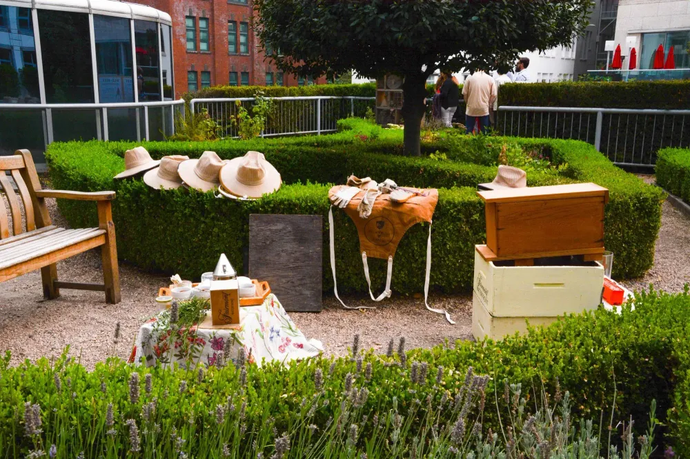 Honey Bee Demonstration Set up on the Roof of the Fairmont Waterfront in Vancouver
